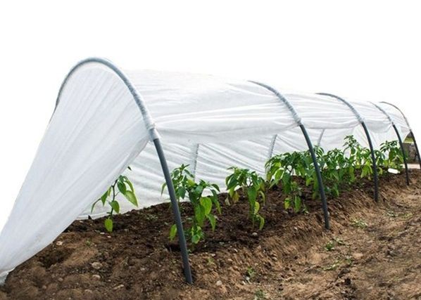 Kasvutunneli Agrohex 1,1x6 m