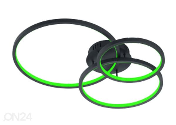 Kattovalaisin Aaron Wiz