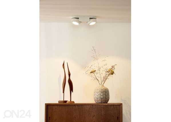 Kohdevalaisin MITRAX