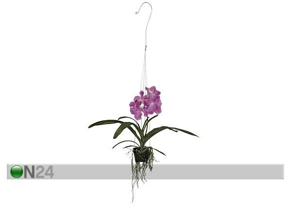 Koristekasvi ORKIDEA 46 cm