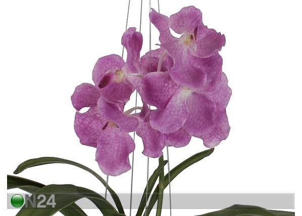 Koristekasvi ORKIDEA 46 cm