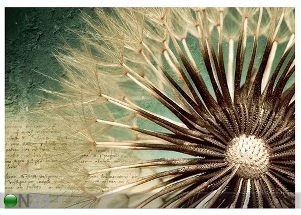 Kuvatapetti DANDELION POETRY 400x280 cm