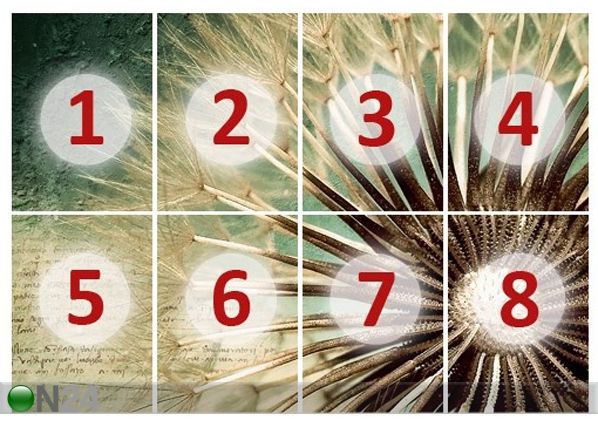 Kuvatapetti DANDELION POETRY 400x280 cm