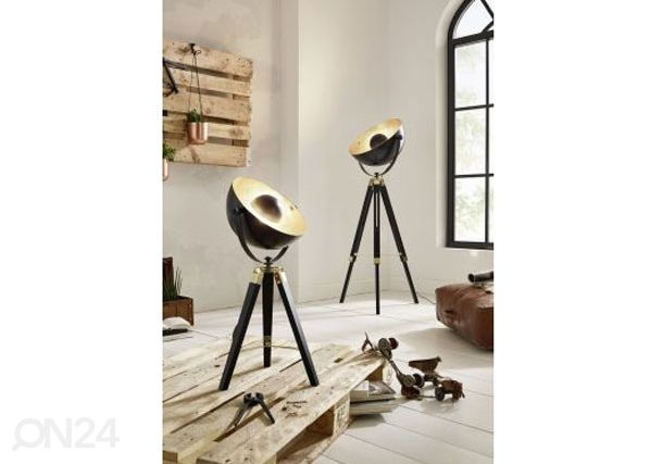 Lattiavalaisin Covaleda