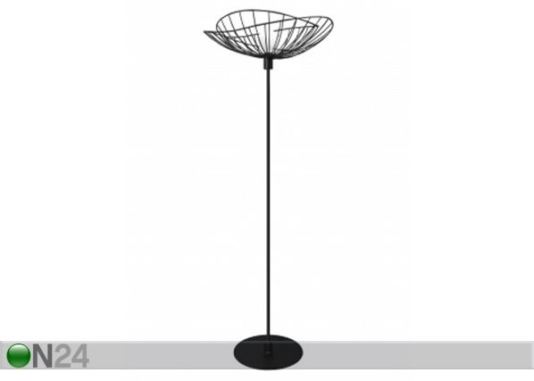 Lattiavalaisin Ray