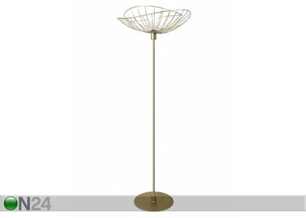 Lattiavalaisin Ray