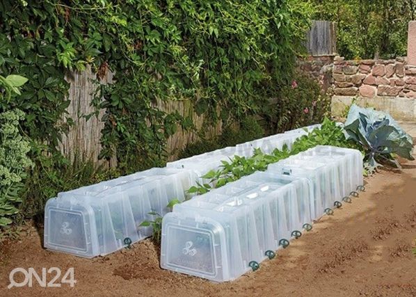 Minikasvihuone-tunneli SUNNY 210 cm