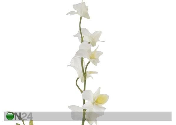 Orkidea, valkoinen 110 cm