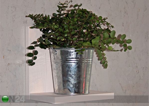 Seinähylly