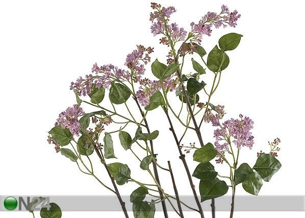 Sireeni 105 cm
