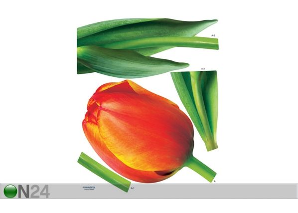 Sisustustarra TULPPAANIT