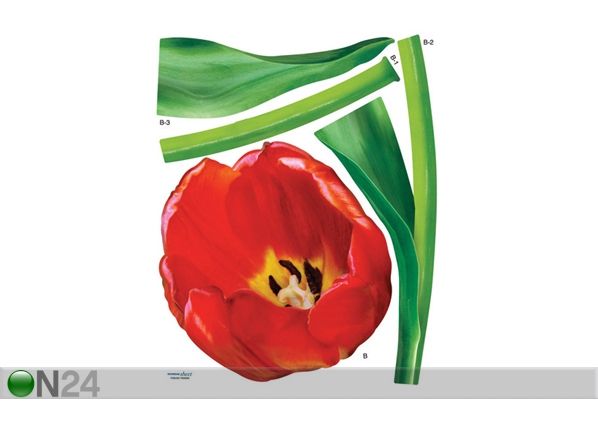 Sisustustarra TULPPAANIT