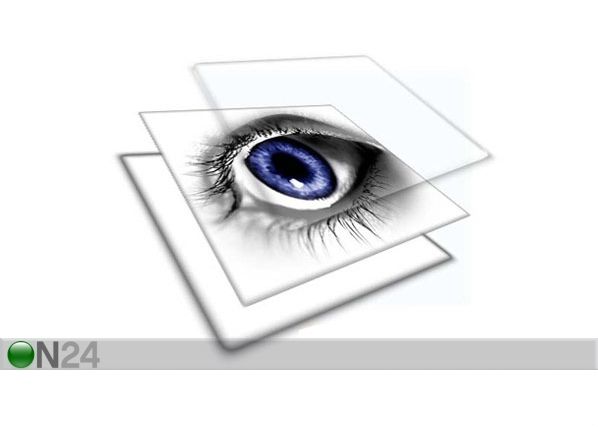 Taulu TURTLE 80x60 cm