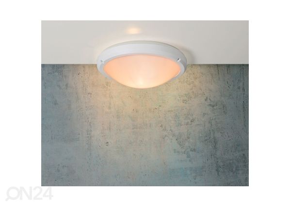 Ulkovalaisin Fenna valkoinen