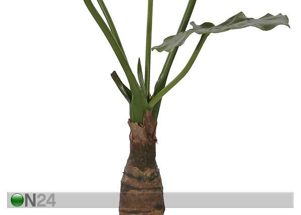 Vehkakasvi TARO 77 cm