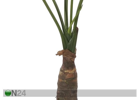 Vehkakasvi TARO 90 cm