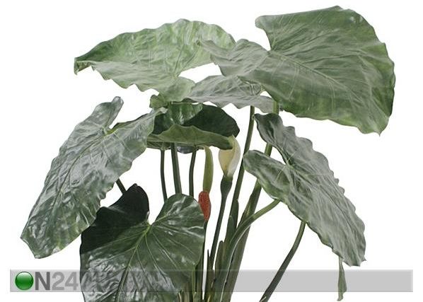 Viherkasvi 90 cm
