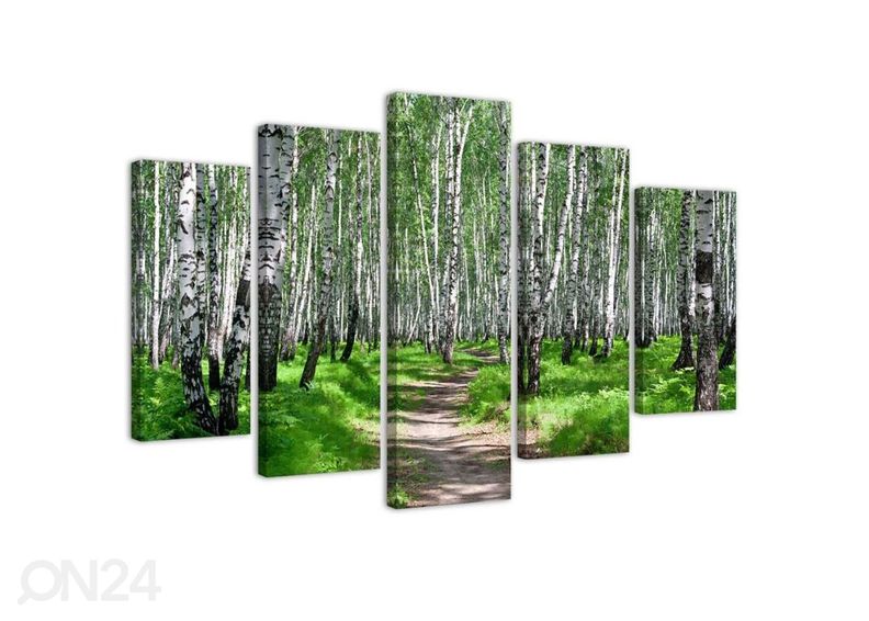 5-osainen sisustustaulu Birch forest 200x100 cm kuvasuurennos