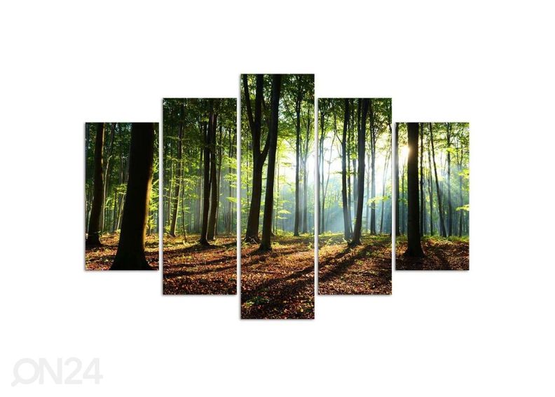 5-osainen sisustustaulu Rays of the sun in the forest 150x100 cm kuvasuurennos