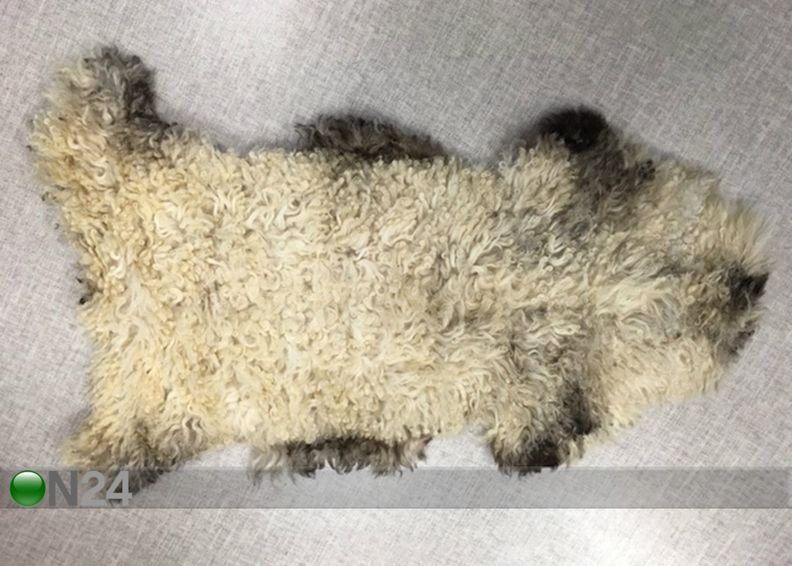 Aito lampaantalja 50x100 cm kuvasuurennos