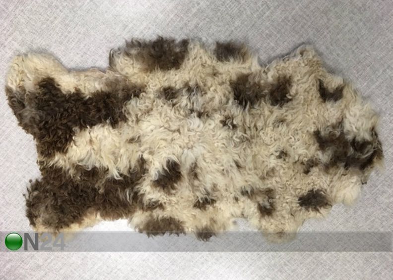 Aito lampaantalja 50x100 cm kuvasuurennos