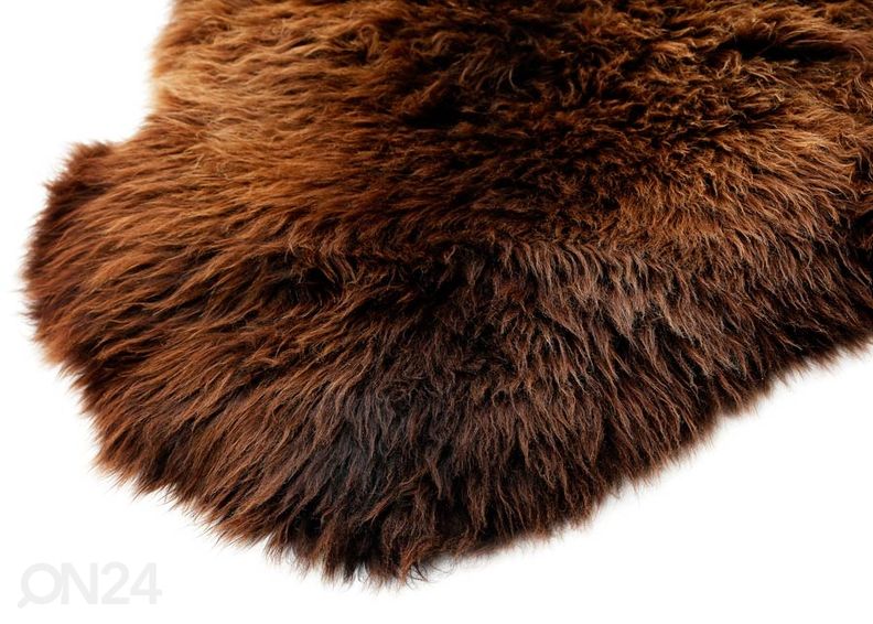 Aito lampaantalja British natural brown 60x90 cm kuvasuurennos