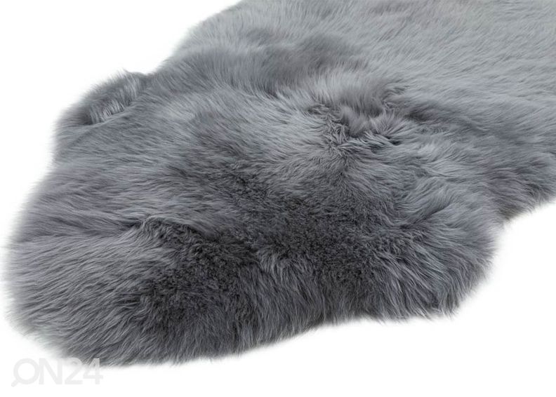 Aito lampaantalja Merino carbon M ±60x90 cm kuvasuurennos