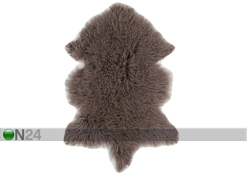 Aito lampaantalja Mongolian mushroom 60x90 cm kuvasuurennos