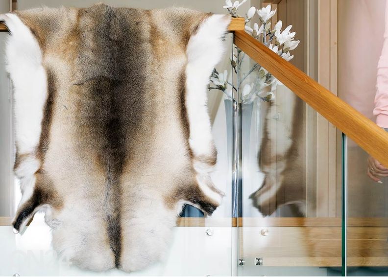 Aito porontalja ±70x110 cm kuvasuurennos