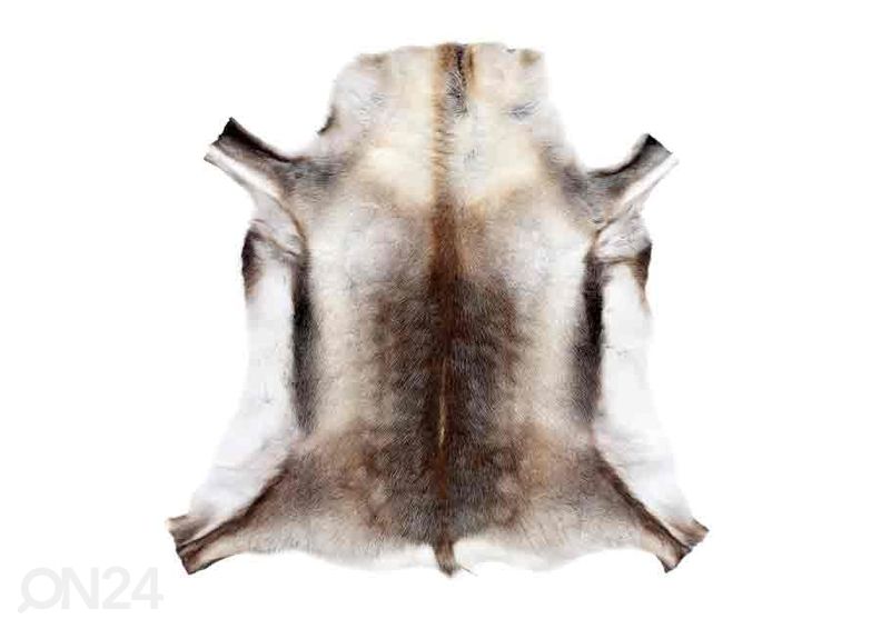 Aito porontalja ±70x110 cm kuvasuurennos