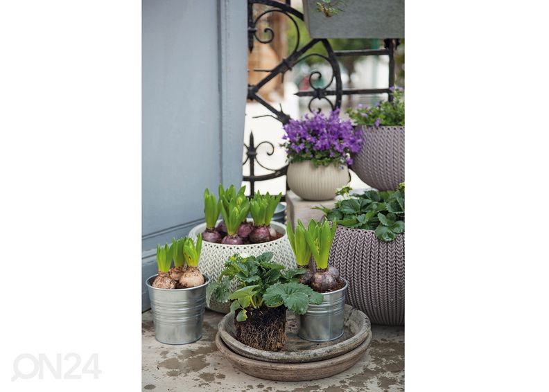 Amppeli Keter Cozies pieni, beige Ø28 x h18 cm kuvasuurennos