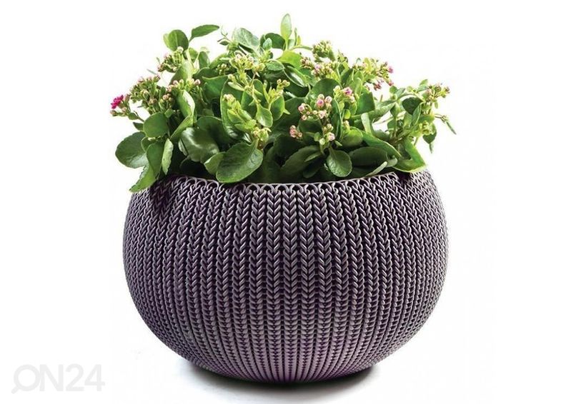 Amppeli Keter Cozy M kuvasuurennos