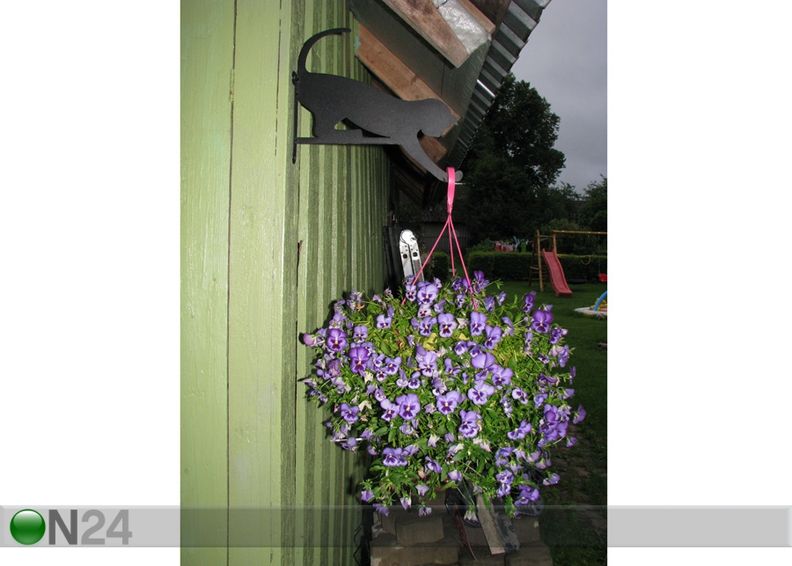 Amppeliteline ulos Kissa kuvasuurennos