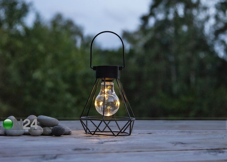 Aurinkokellovalaisin Eddy kuvasuurennos