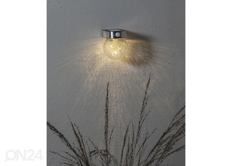 Aurinkokennovalaisin Glory kuvasuurennos