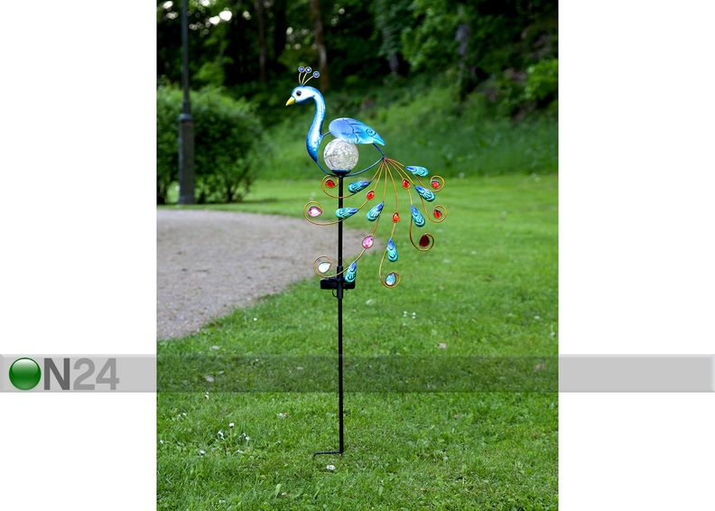 Aurinkokennovalaisin Peacock kuvasuurennos