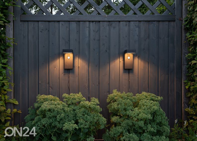 Aurinkokennovalaisin Vici kuvasuurennos