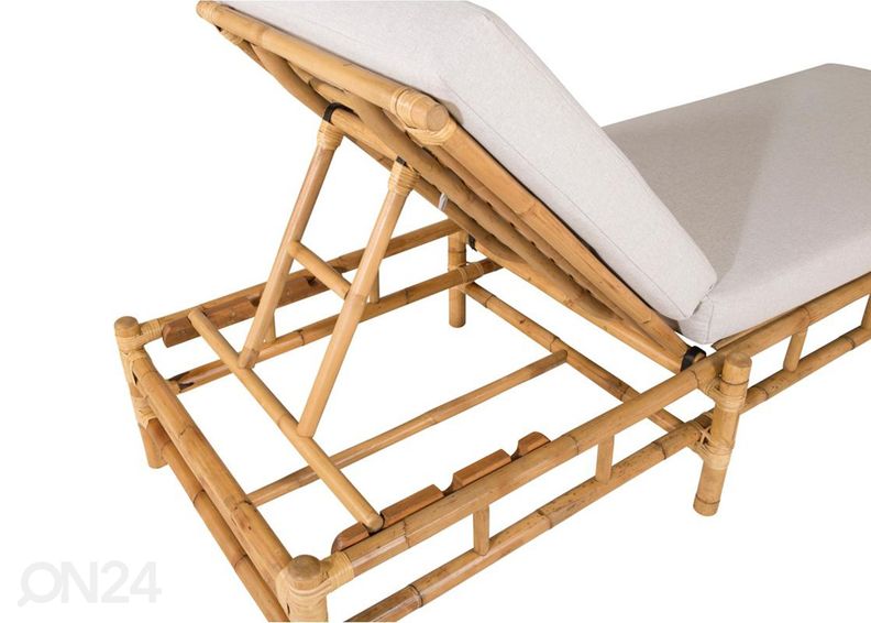 Aurinkotuoli Cane kuvasuurennos