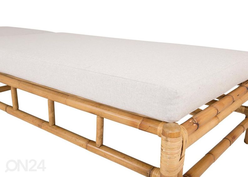 Aurinkotuoli Cane kuvasuurennos