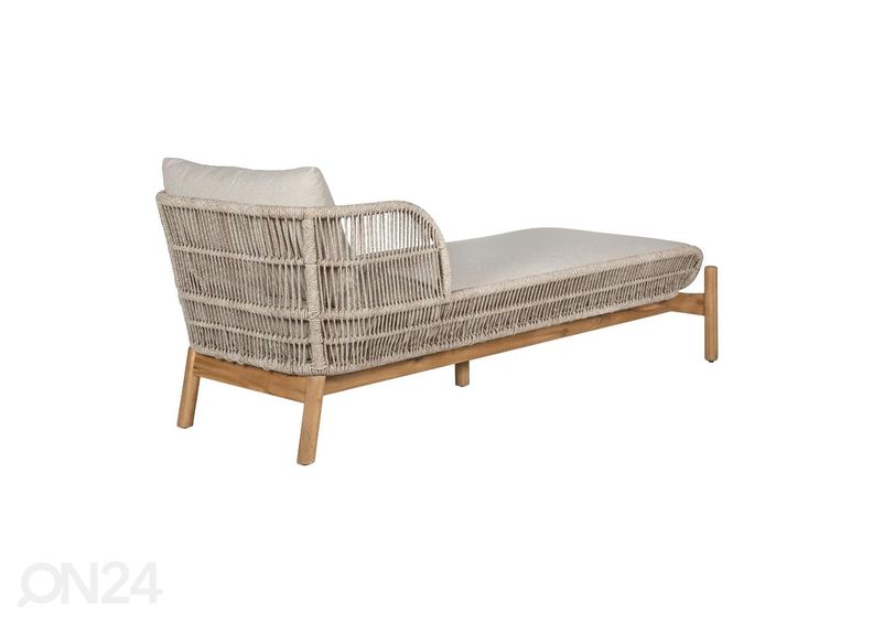 Aurinkotuoli Terracina kuvasuurennos