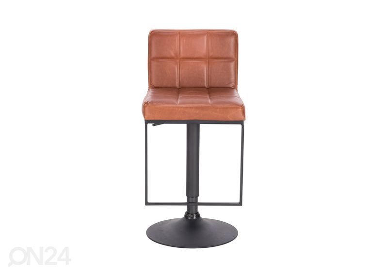 Baarijakkara kuvasuurennos