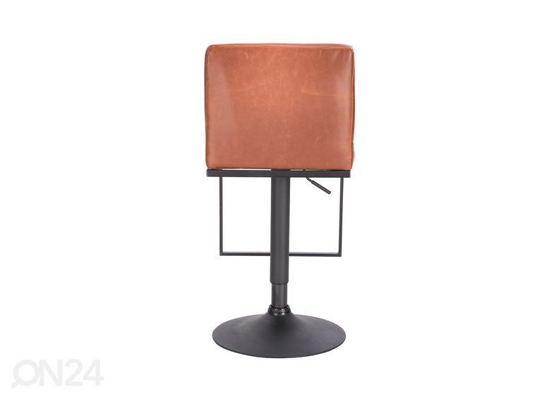 Baarijakkara kuvasuurennos