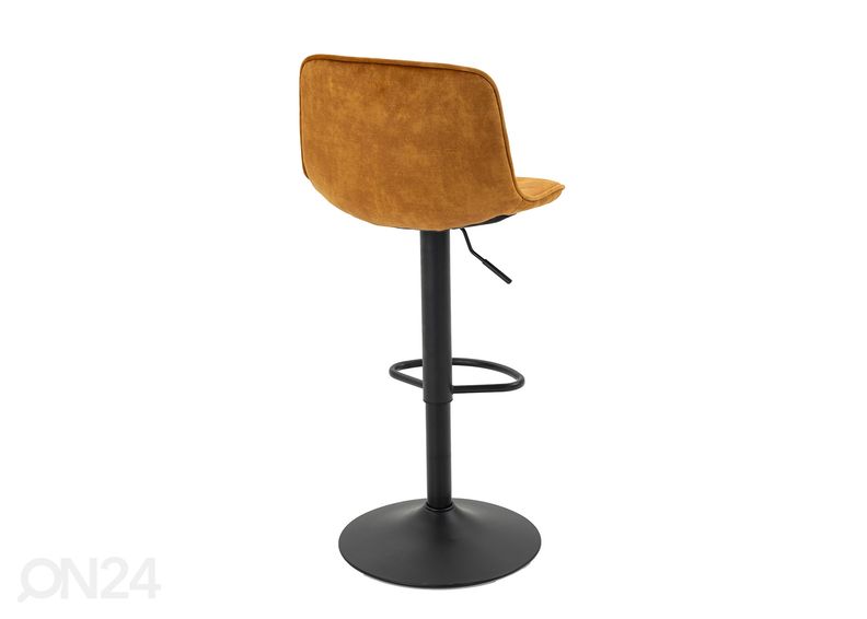 Baarijakkara kuvasuurennos