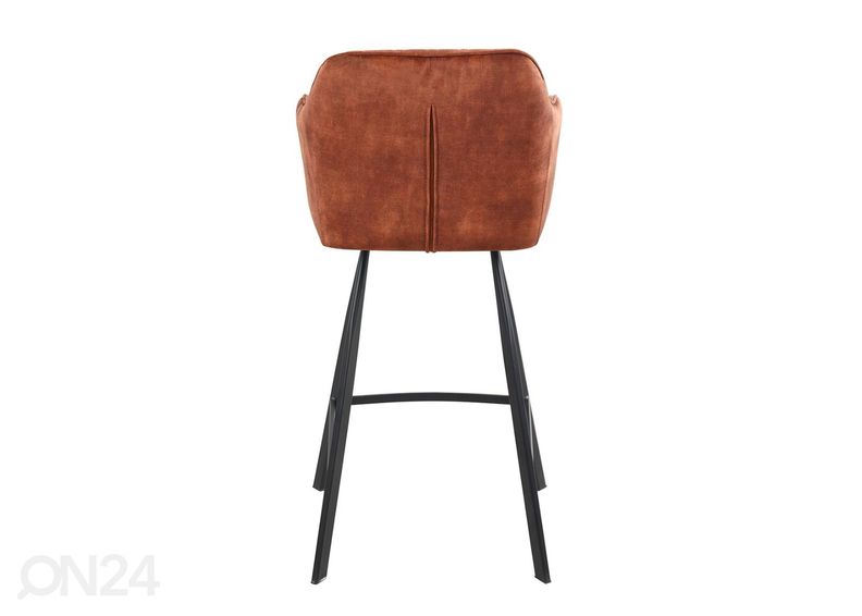 Baarijakkara kuvasuurennos