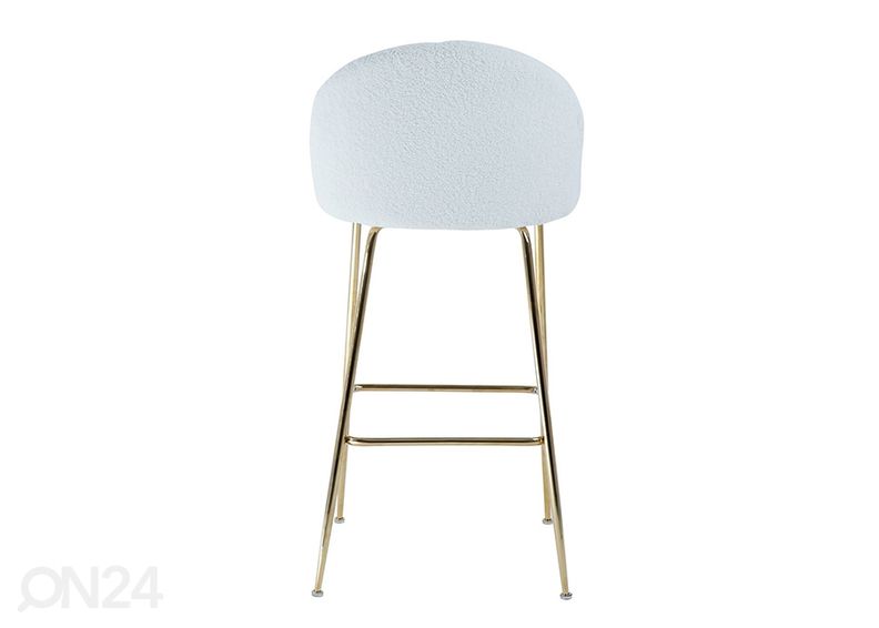 Baarijakkara Beetle kuvasuurennos