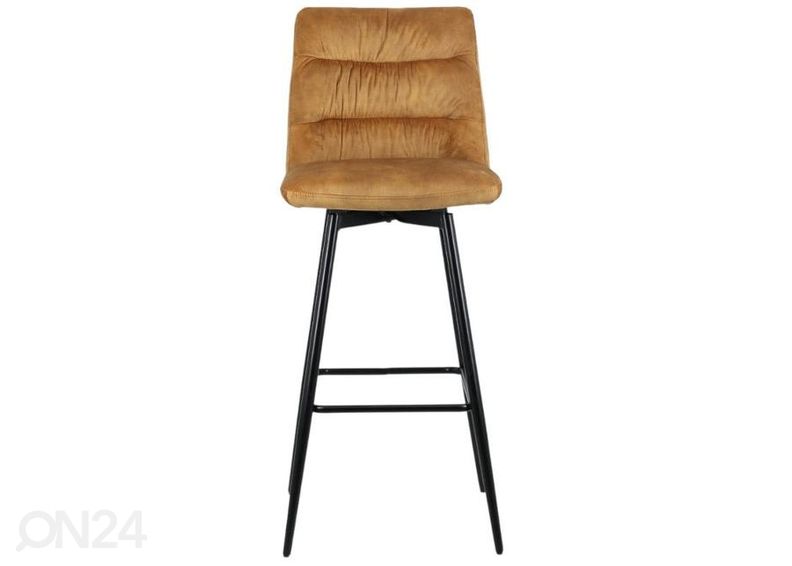 Baarijakkara Birge karri kuvasuurennos