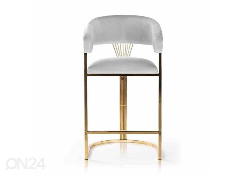 Baarijakkara Marcille kuvasuurennos