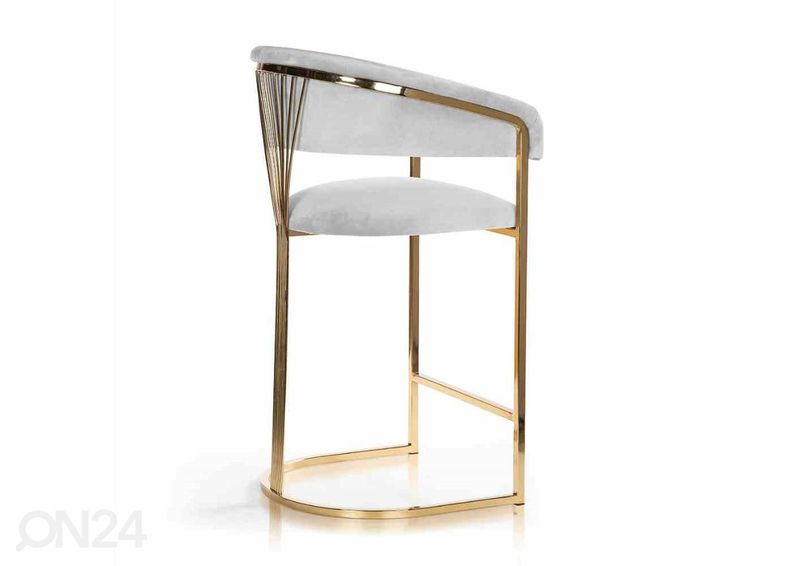 Baarijakkara Marcille kuvasuurennos