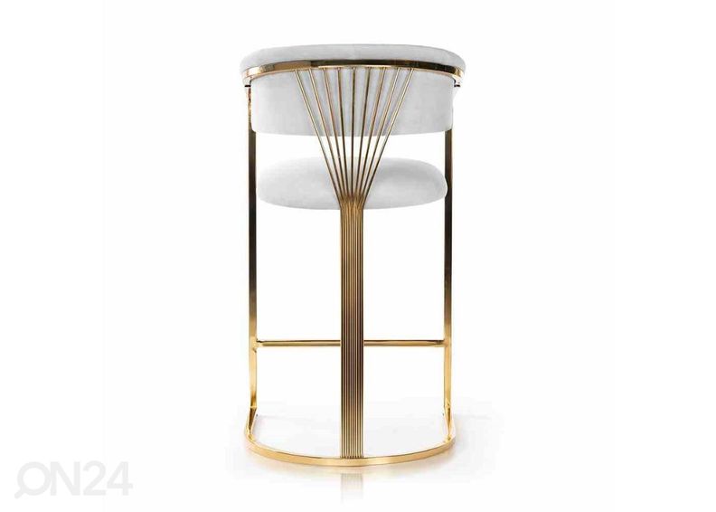 Baarijakkara Marcille kuvasuurennos