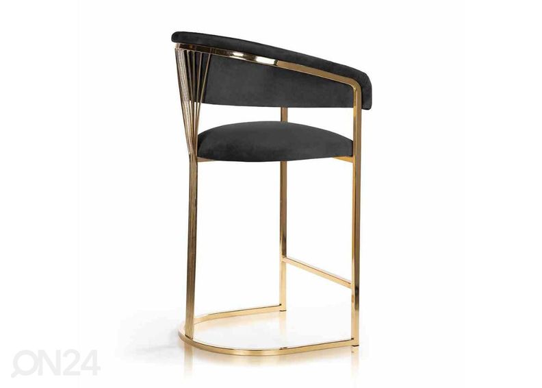 Baarijakkara Marcille kuvasuurennos